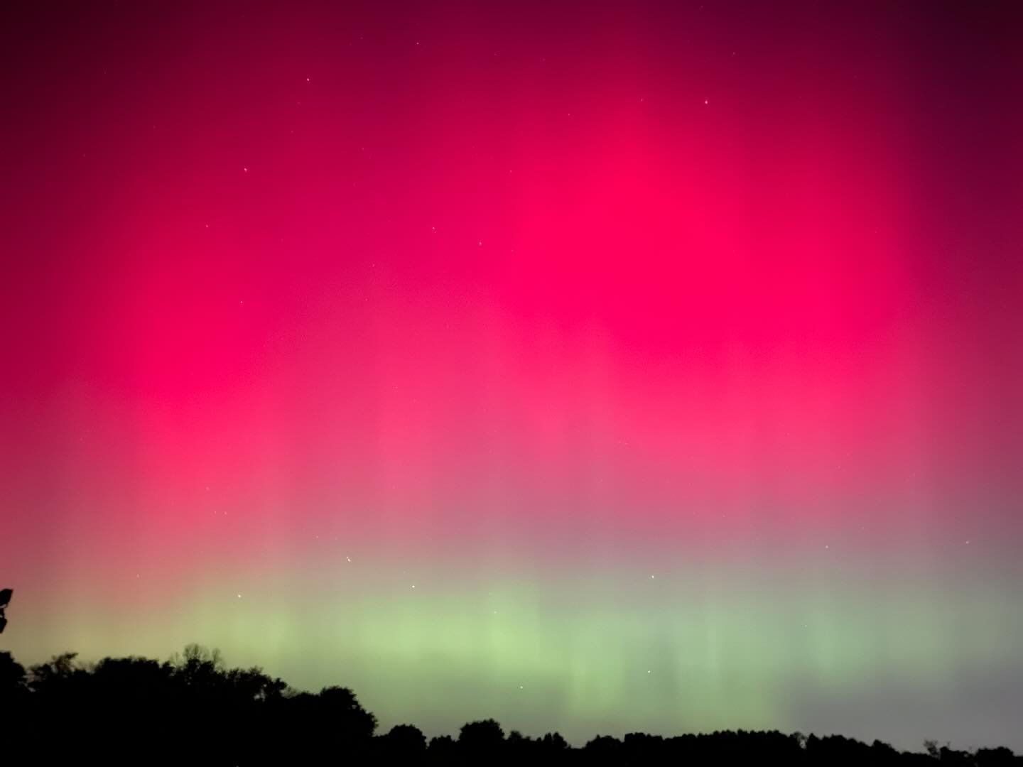 Intense red and green aurora filling the sky above a treeline during the May 10, 2024 G5 geomagnetic storm